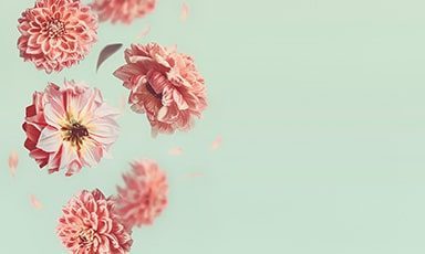 flowers-banner-medium-bottom flowers-banner-medium-bottom